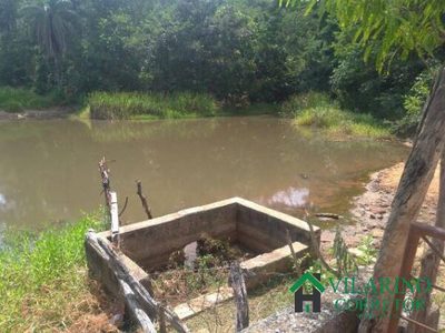 Fazenda, 19 hectares - Foto 4