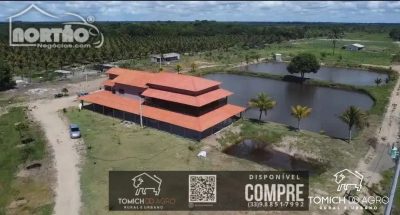 Casa, 10 m² - Foto 4