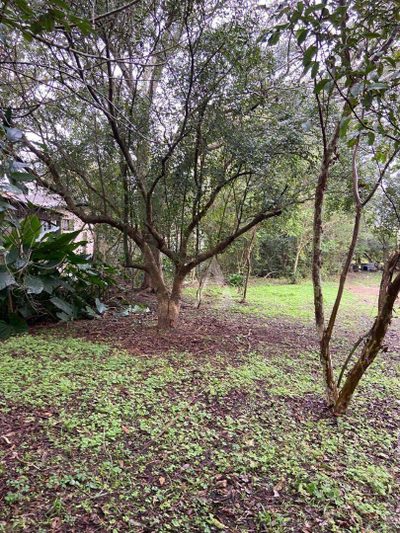 Terreno, 1 hectares - Foto 2