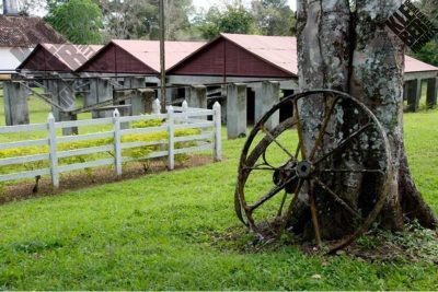 Fazenda, 4 quartos - Foto 4