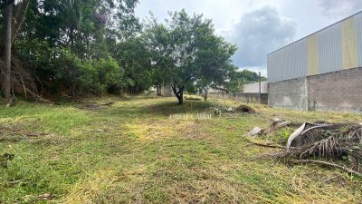 Terreno, 5000 m² - Foto 5