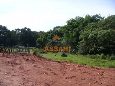 Prédio Inteiro - Foto 4