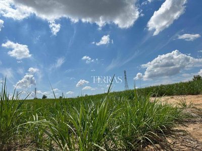 Terreno, 10 hectares - Foto 3