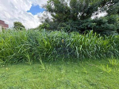 Terreno, 360 m² - Foto 2