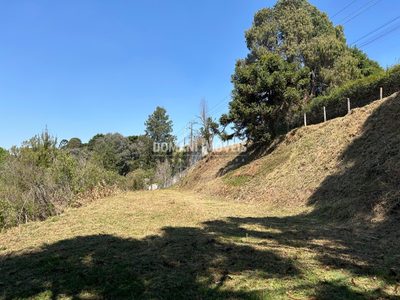 Terreno, 2610 m² - Foto 4