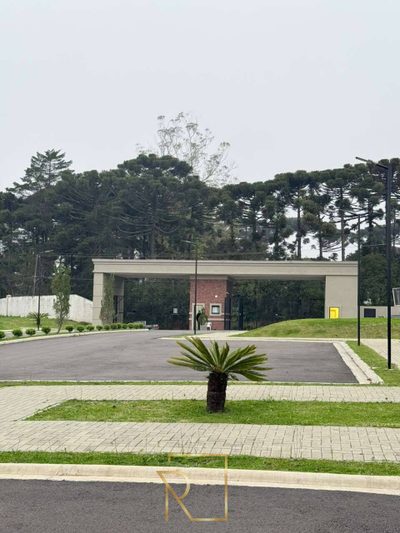 Terreno, 250 m² - Foto 3