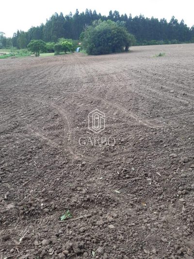 Fazenda, 2 hectares - Foto 2