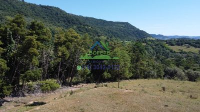 Terreno, 2 hectares - Foto 2
