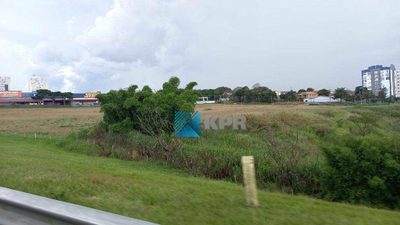 Terreno, 5 hectares - Foto 4
