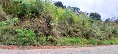 Terreno, 1000 m² - Foto 4