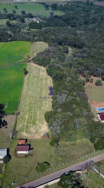 Terreno, 3 hectares - Foto 4