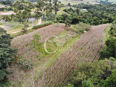 Terreno, 2 m² - Foto 1