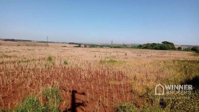 Terreno, 15 hectares - Foto 4