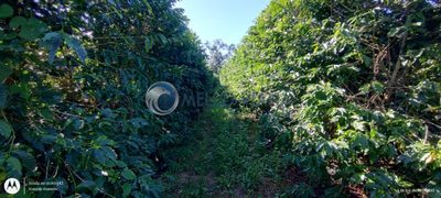 Fazenda, 2 quartos - Foto 2
