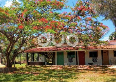 Sítio, 19 quartos, 15 hectares - Foto 1