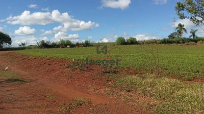 Chácara, 2 quartos, 2 hectares - Foto 1