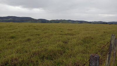 Fazenda, 17 hectares - Foto 1