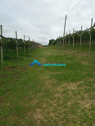 Terreno, 1 hectares - Foto 1