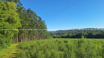Loteamento e Condomínio, 8 hectares - Foto 4