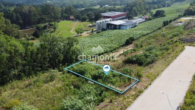 Terreno, 360 m² - Foto 1