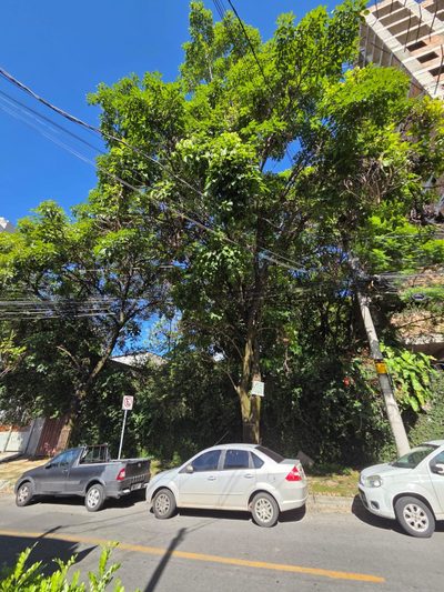 Terreno, 1000 m² - Foto 2