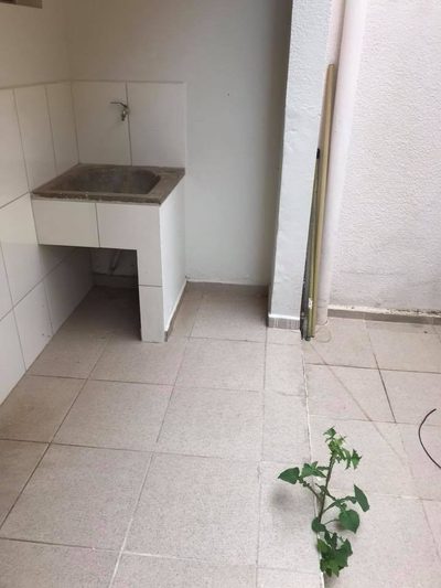 Apartamento, 3 quartos - Foto 4