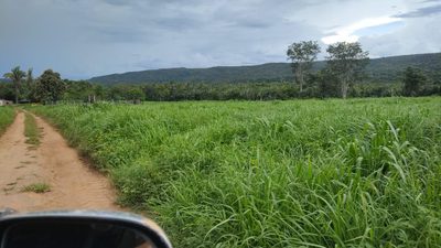 Fazenda - Foto 2