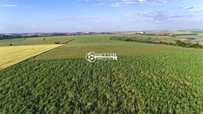 Fazenda, 24 m² - Foto 4