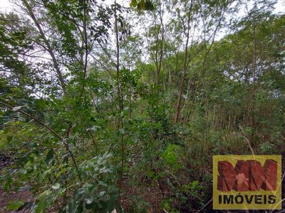 Terreno, 600 m² - Foto 5