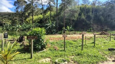 Terreno, 428 m² - Foto 4