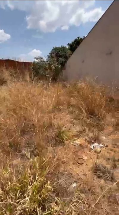 Terreno, 300 m² - Foto 4