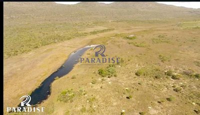 Fazenda, 128 hectares - Foto 4