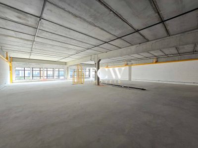 Depósito-Galpão, 1603 m² - Foto 4
