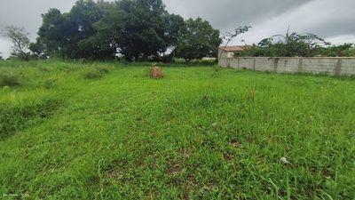 Terreno, 600 m² - Foto 5