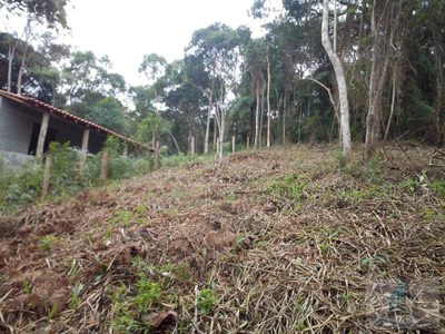 Sítio, 4200 m² - Foto 5