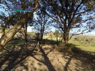 Terreno, 2885 m² - Foto 4