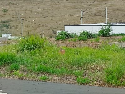 Terreno, 150 m² - Foto 1