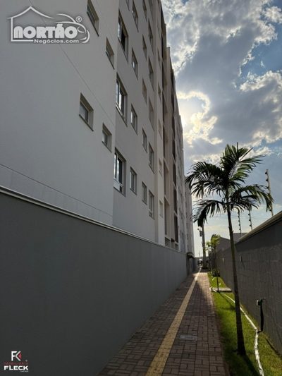Casa, 3 quartos, 52 m² - Foto 4