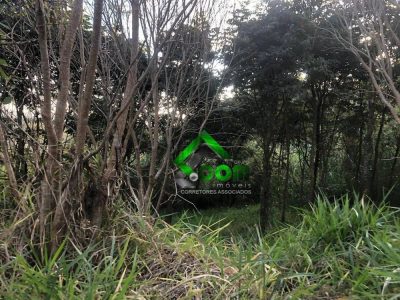 Terreno, 1000 m² - Foto 4