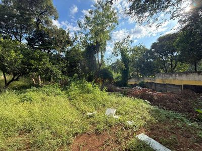 Terreno, 540 m² - Foto 3