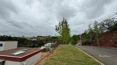 Loteamento e Condomínio, 5000 m² - Foto 2