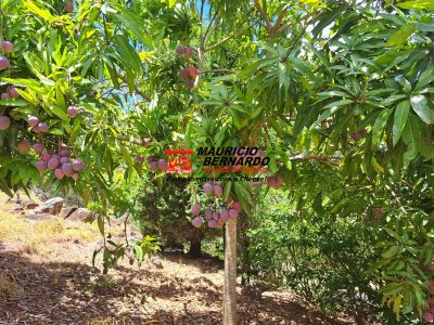 Terreno, 4 m² - Foto 1
