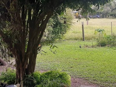 Chácara, 2 quartos, 167 m² - Foto 3