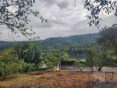 Loteamento e Condomínio, 2782 m² - Foto 5