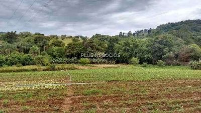 Chácara, 4 quartos, 2 hectares - Foto 2