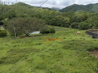 Sítio, 36 hectares - Foto 3