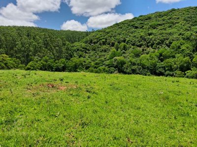 Sítio, 2 quartos, 3 hectares - Foto 4