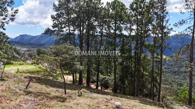 Terreno, 5290 m² - Foto 2