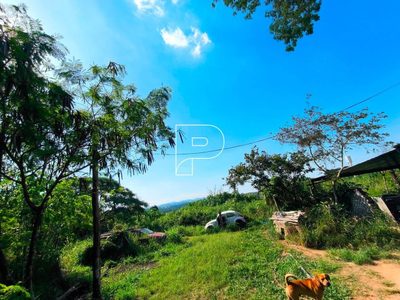 Terreno, 4 hectares - Foto 3