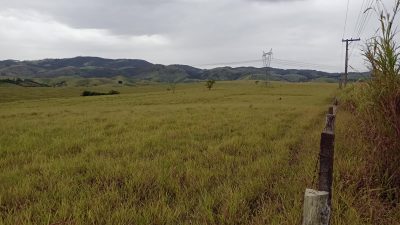 Fazenda, 17 hectares - Foto 2